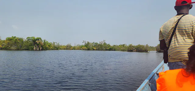 Houses on stilts at Nzulezu on Lake Tadane